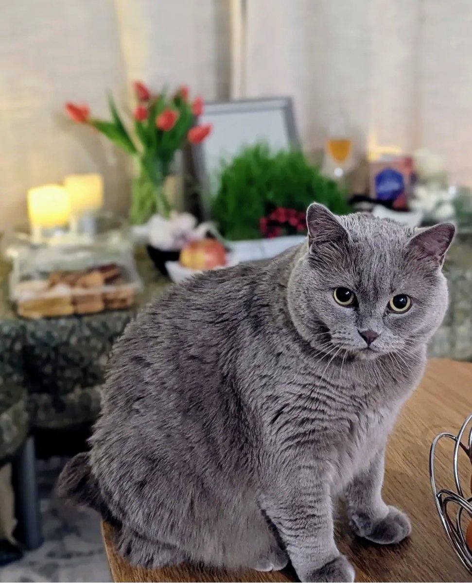 Lucy's Mom tweet media