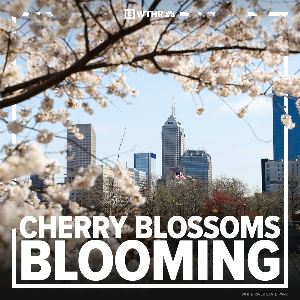 WTHR.com tweet media