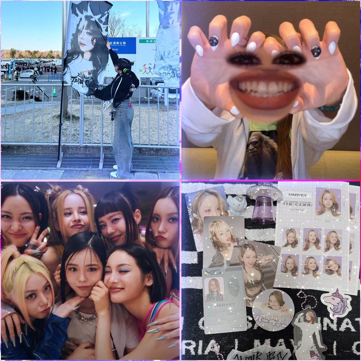 アオイ🐘 tweet media