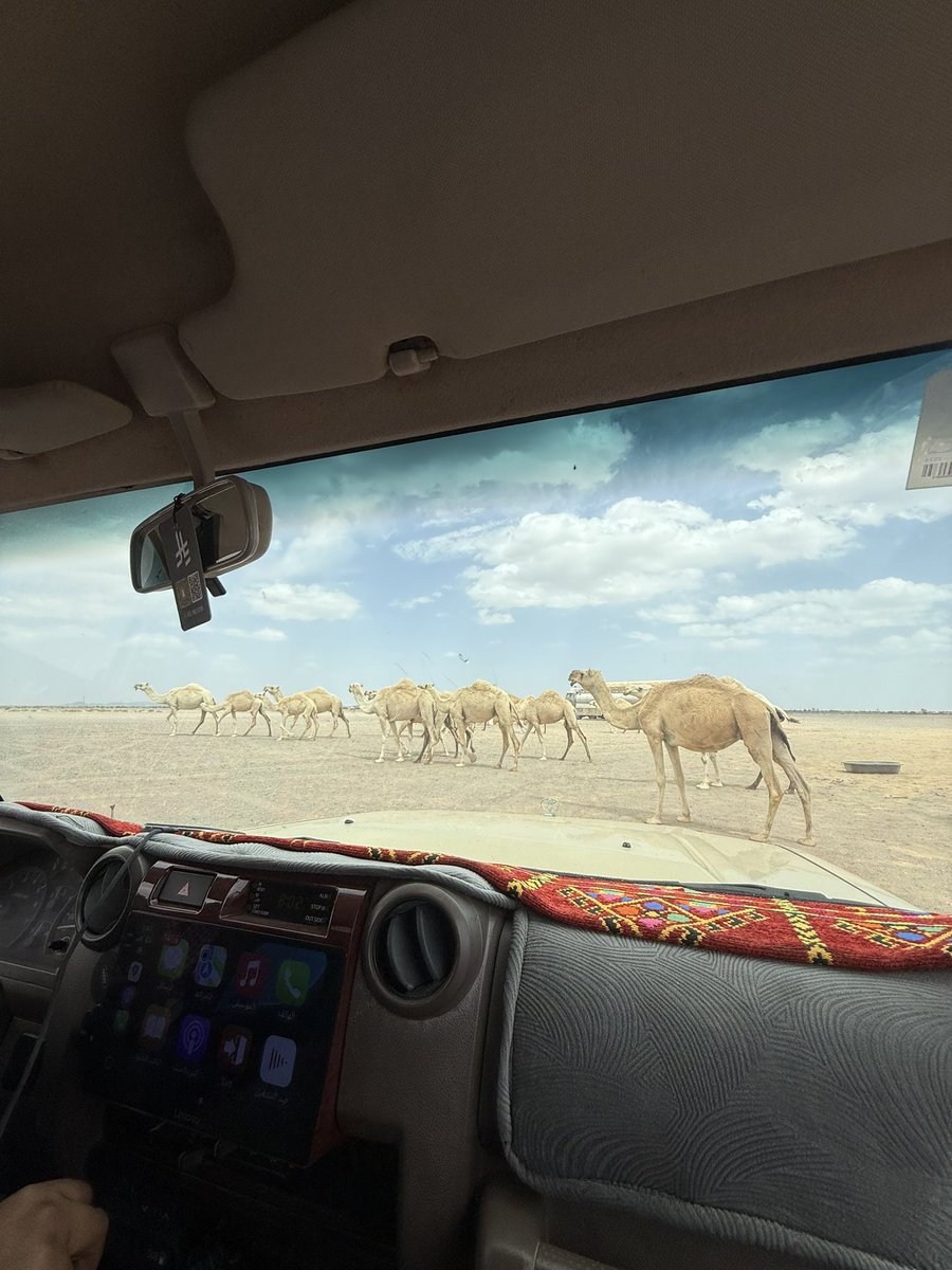 شاكر المطيري tweet media