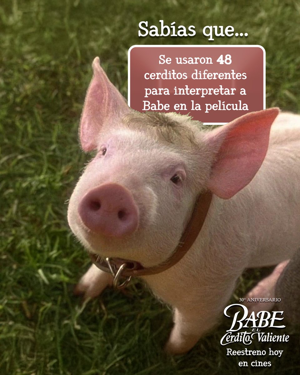 Universal Pictures Peru tweet media