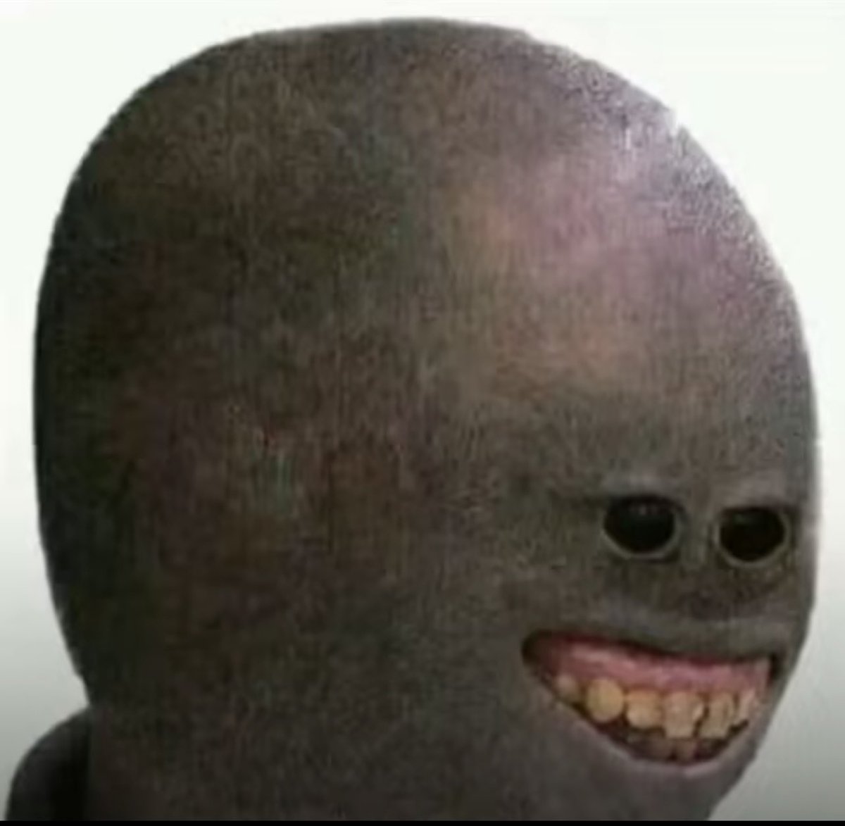 eightmakesmecream 🐥 tweet media