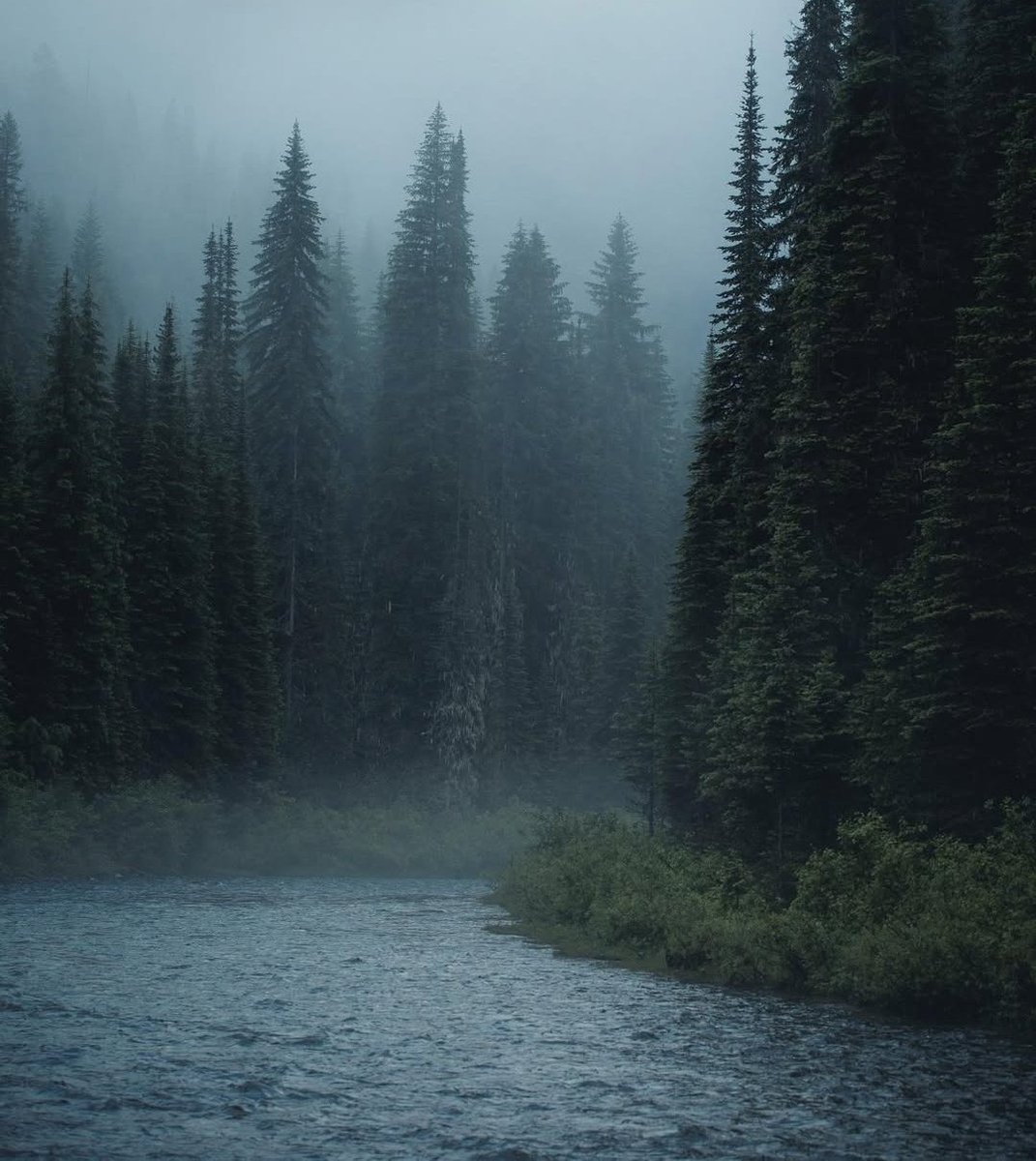 𝘄𝗮𝗻𝗱𝗲𝗿𝘁𝗿𝗮𝘃𝗲𝗹𝘀 tweet media