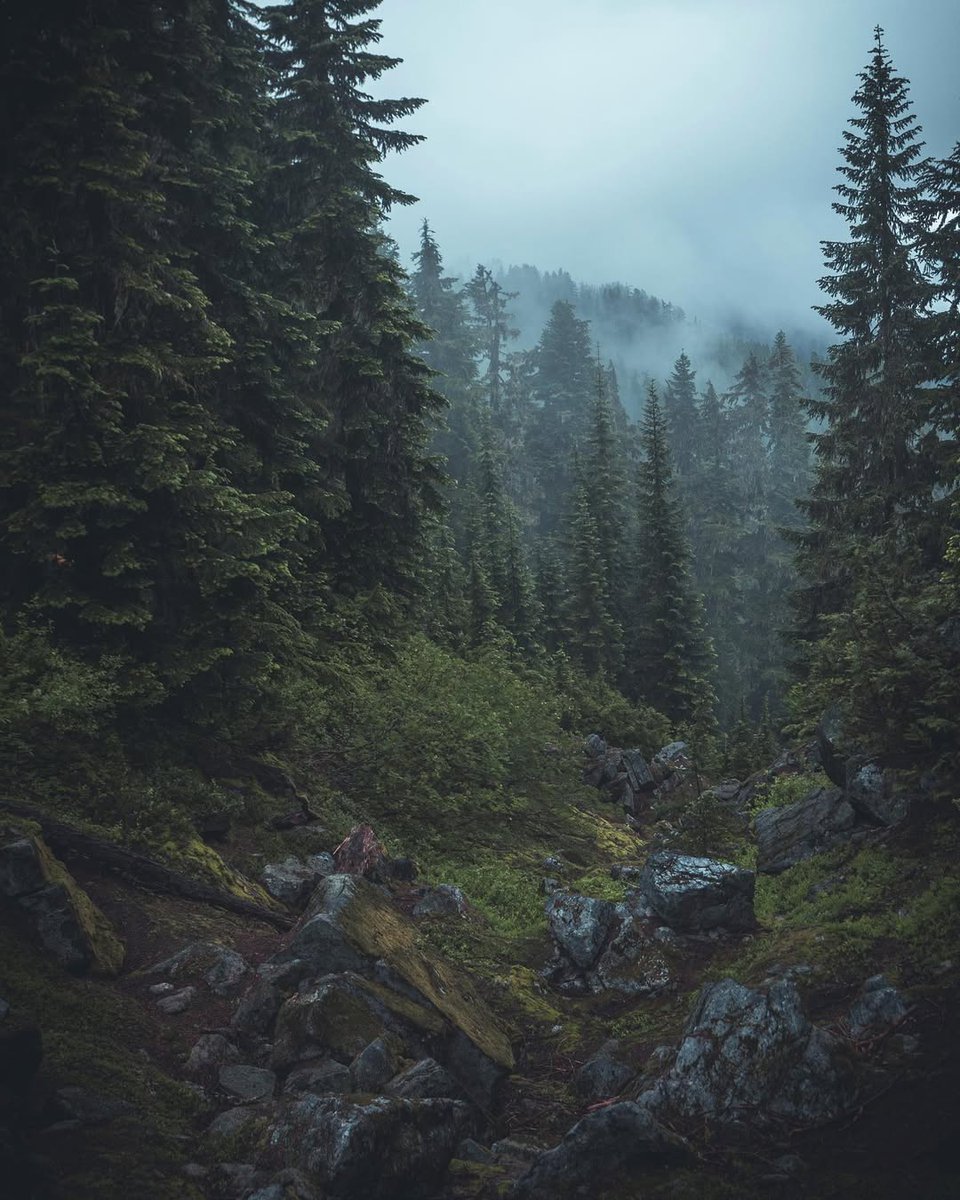 𝘄𝗮𝗻𝗱𝗲𝗿𝘁𝗿𝗮𝘃𝗲𝗹𝘀 tweet media