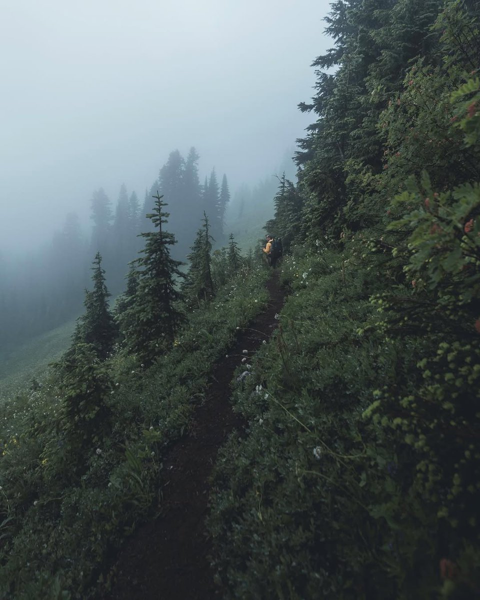 𝘄𝗮𝗻𝗱𝗲𝗿𝘁𝗿𝗮𝘃𝗲𝗹𝘀 tweet media