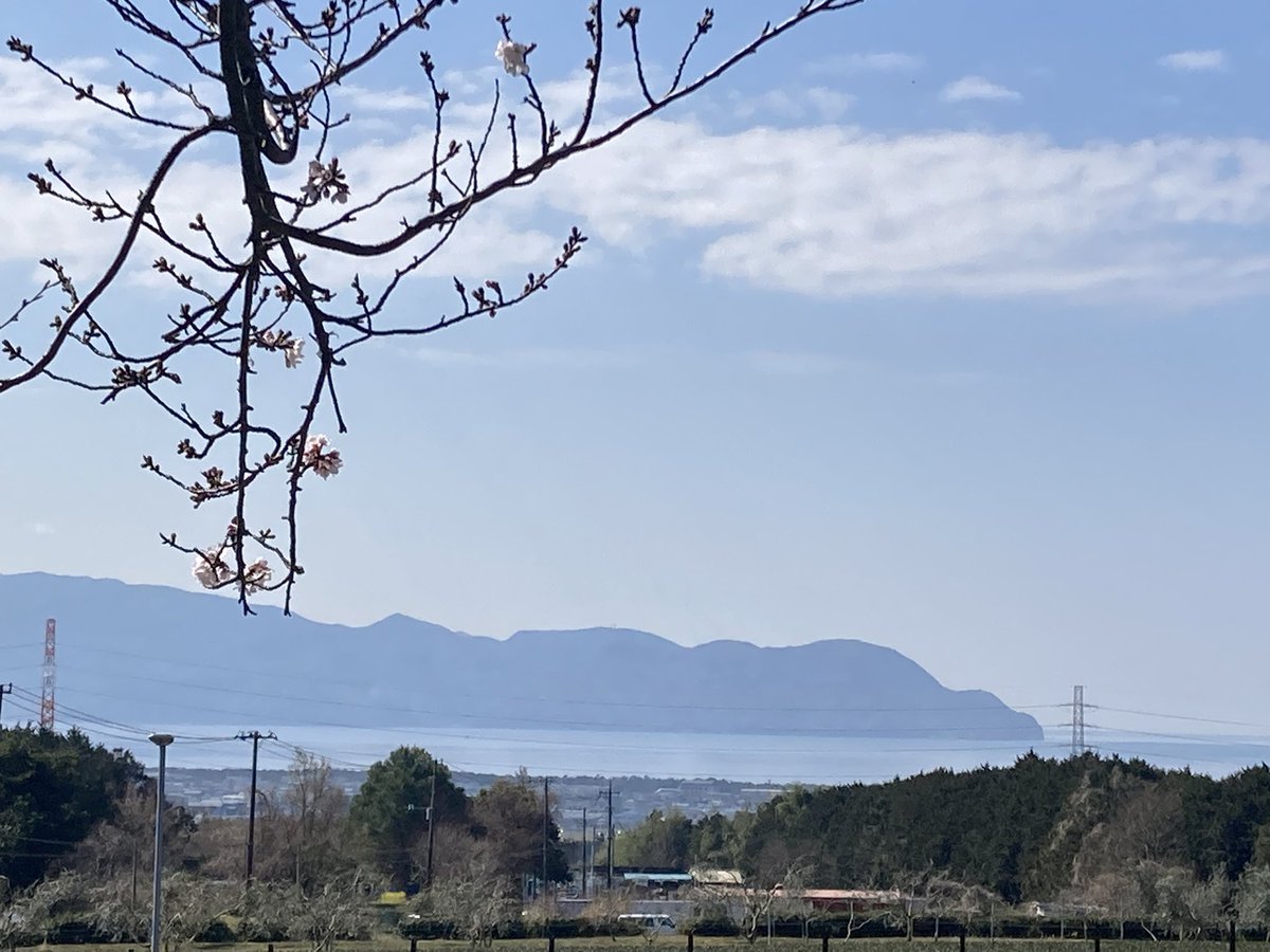 クラフトビール&広島お好み焼きdspeed　松原 tweet media