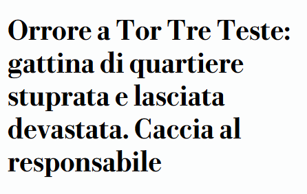 Perìto Perària tweet media