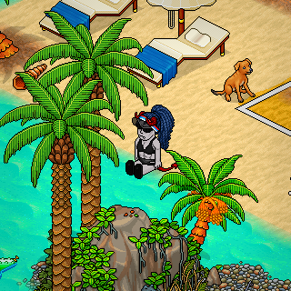 𝔤𝔬́𝔱𝔦𝔠𝔞 𝔪𝔞𝔯𝔬𝔪𝔟𝔞 tweet media