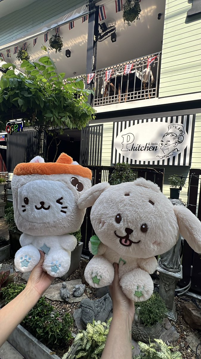 ʚ LV.5 pina ɞ 🍍 tweet media