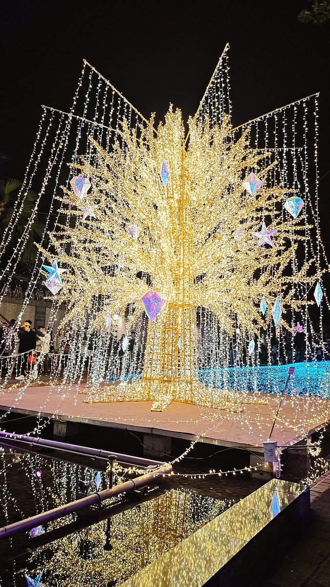 黎明藍昊 tweet media