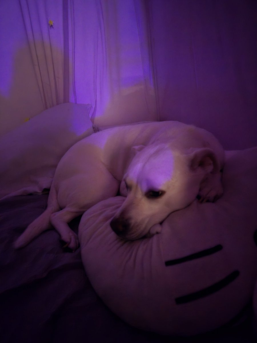 DaddyDeci_ tweet media