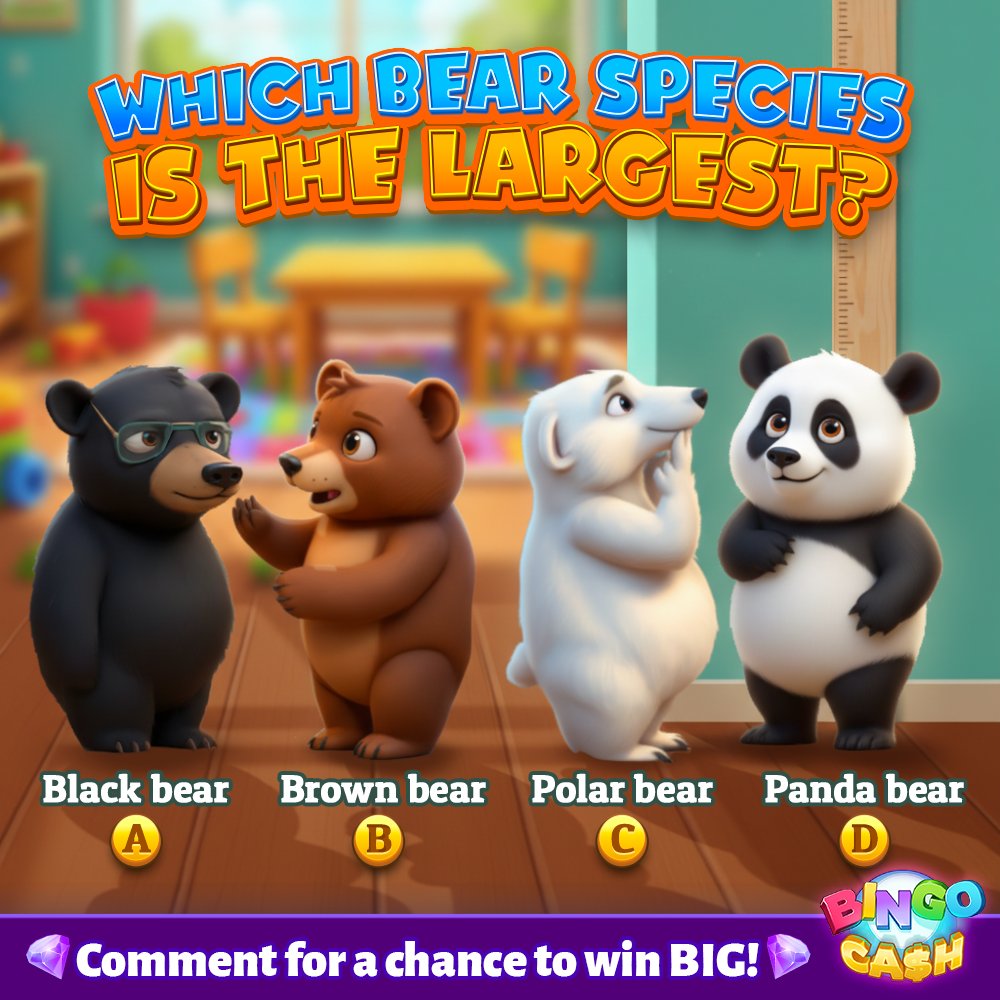 Bingo Cash tweet media