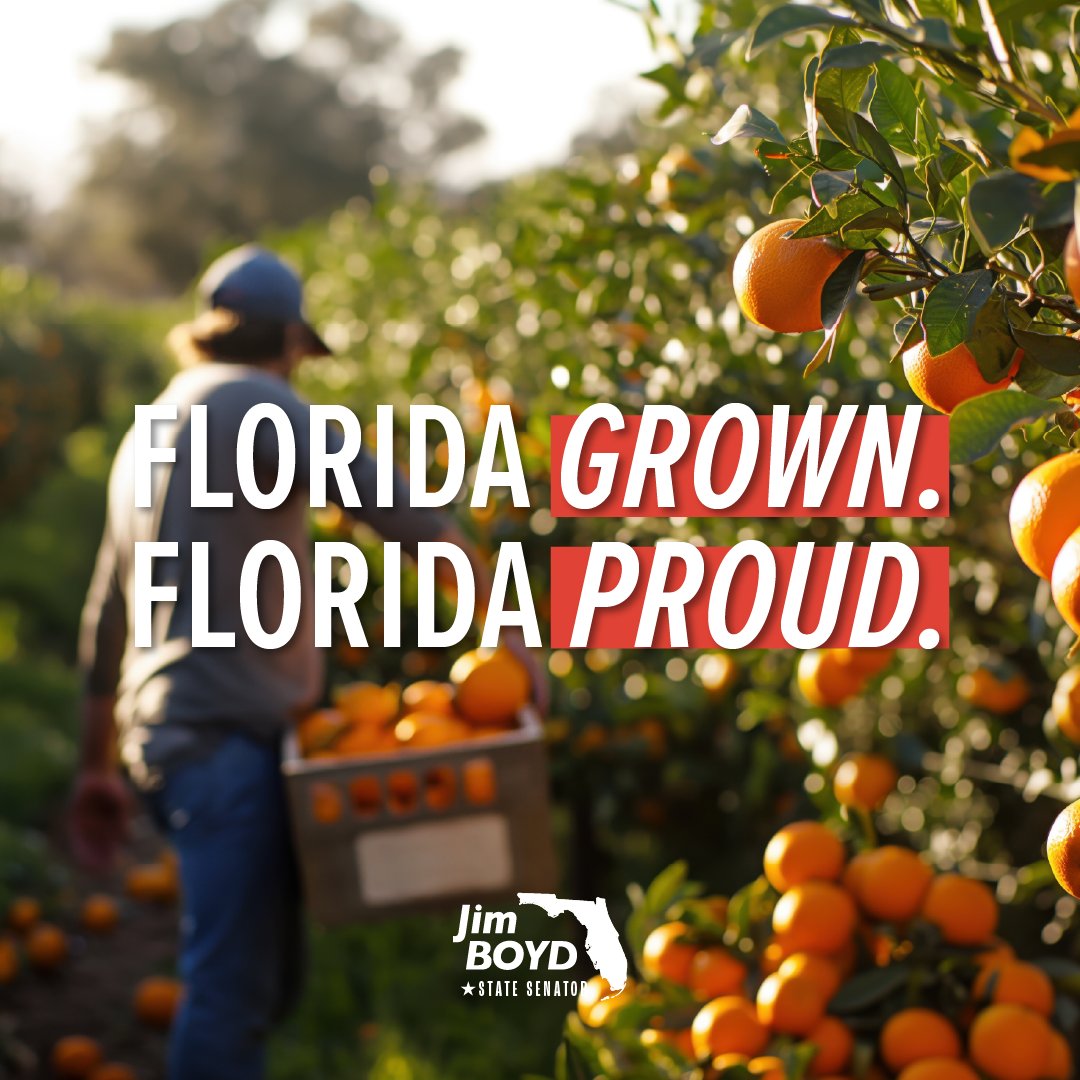 Jim Boyd tweet media