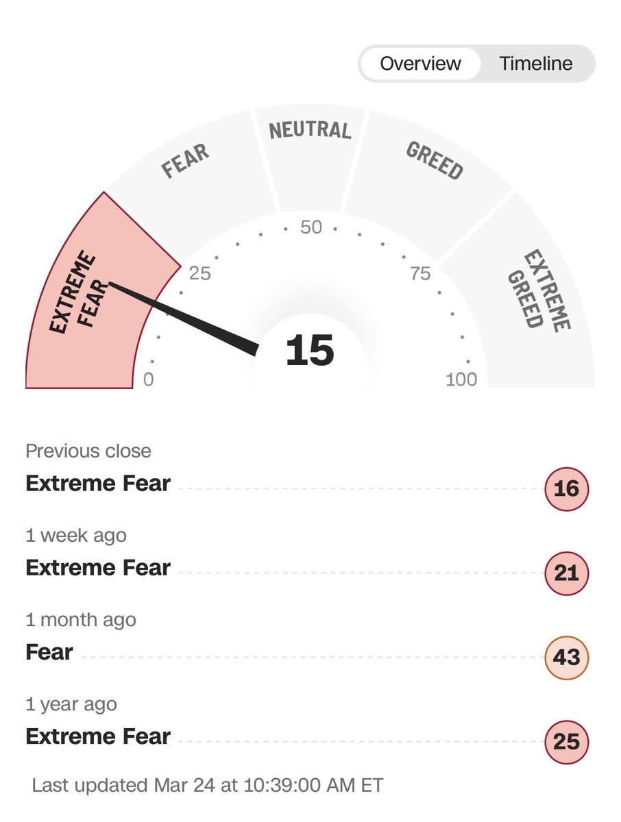 Meghan Rogan tweet media