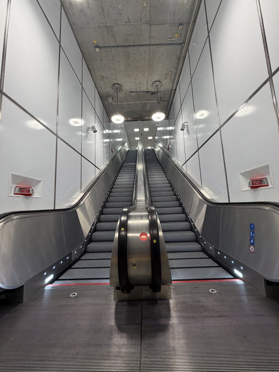 Seb Dance tweet media