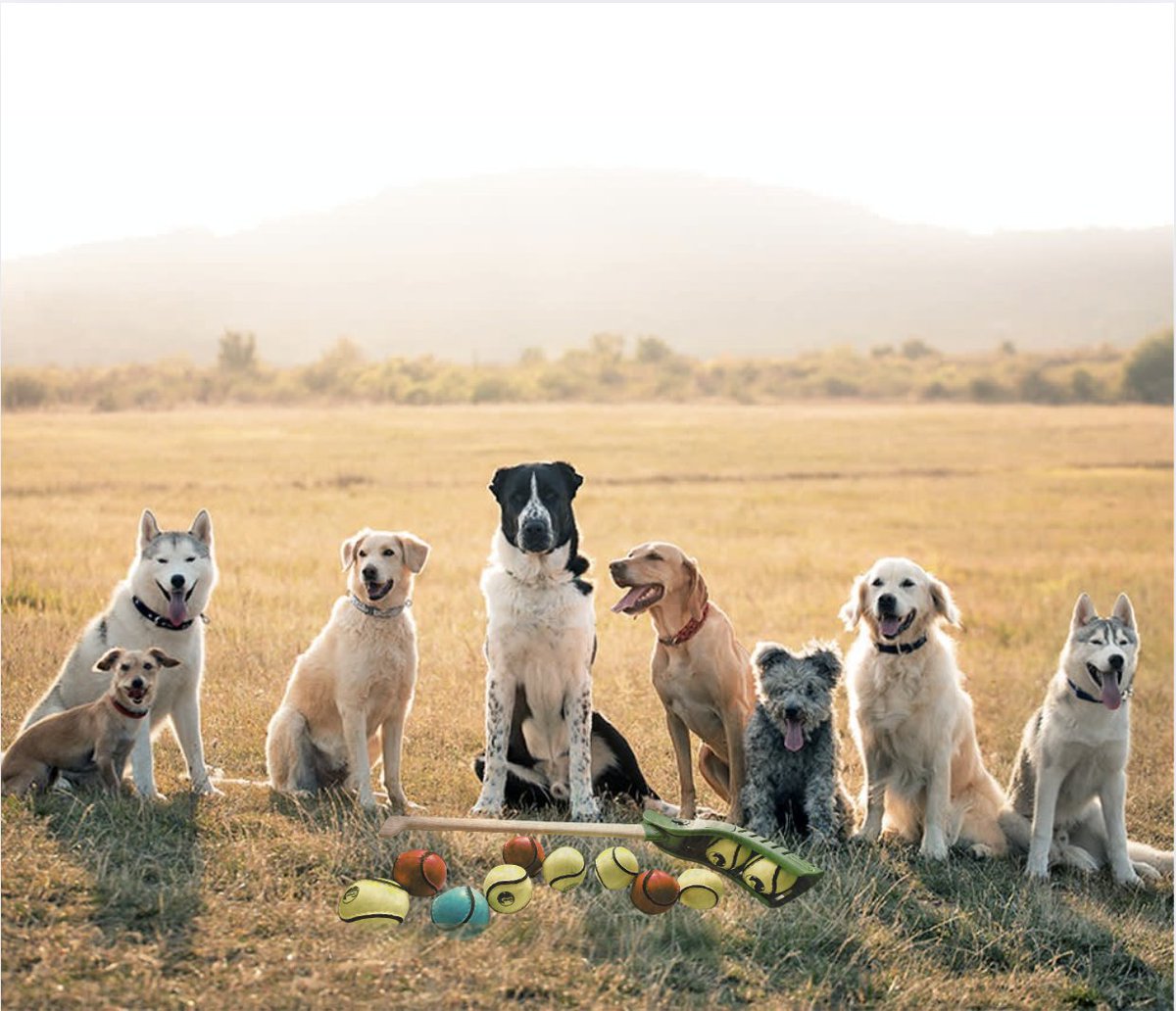 cupooch's tweet photo. We’re Looking for CuHurley Dog Ambassadors Across Ireland! If you love dogs, love sharing great products, and enjoy being part of a fun, positive community, we’d love to have you as a CuPooch Brand Ambassador.
https://t.co/G9k90PxHRK Let’s grow together-one wagging tail at a time https://t.co/YxZgSBFYlQ