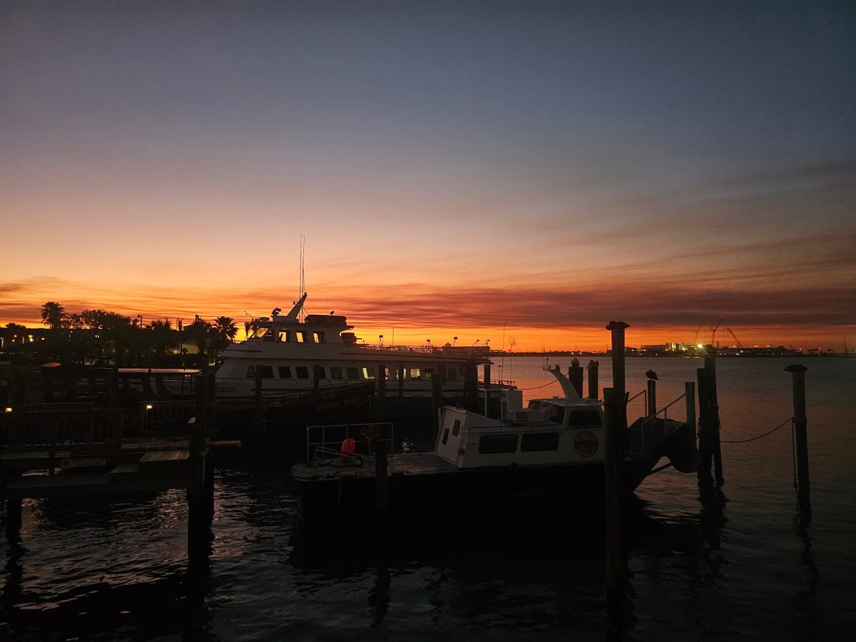 Rusty's Seafood & Oyster Bar tweet media