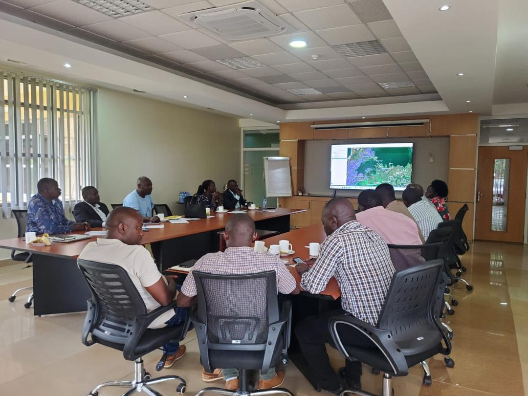 National Forestry Authority-Uganda tweet media