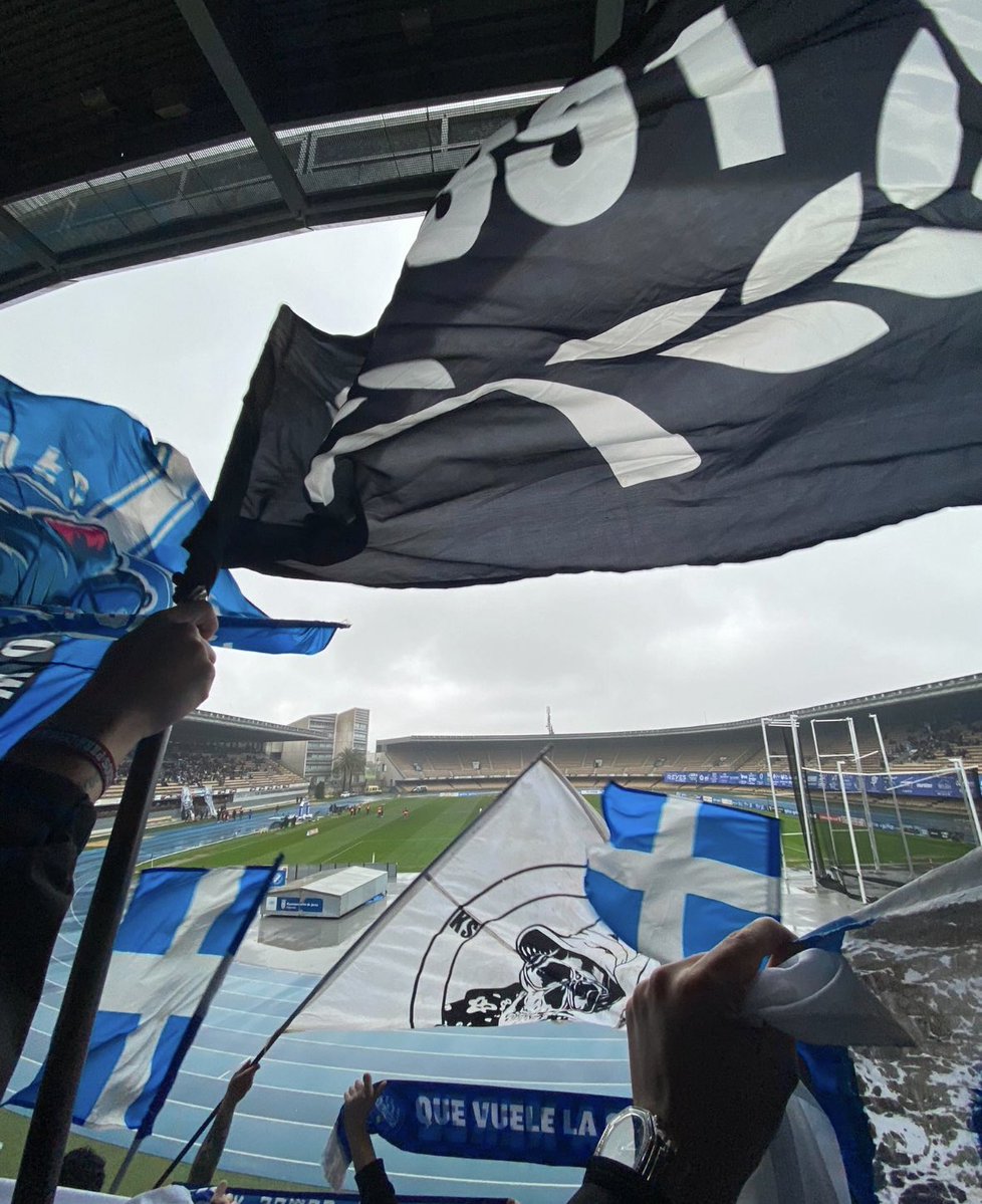 P.X.Ratones Azulaos tweet media