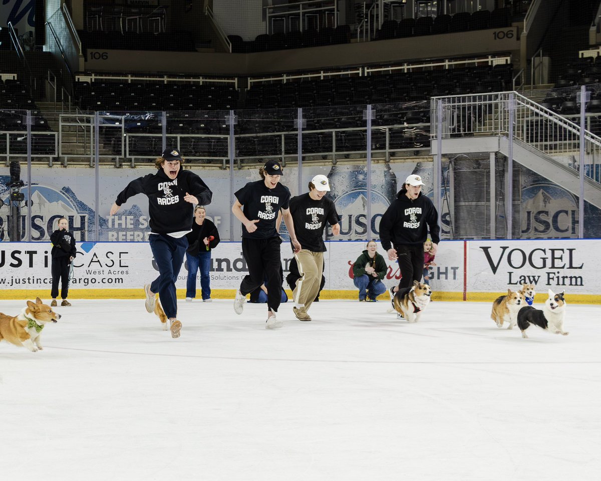 Fargo Force tweet media