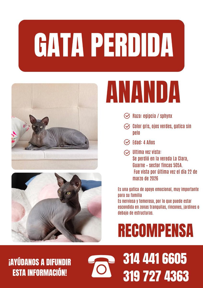 Andrea Padilla Villarraga 🪽🐾 tweet media