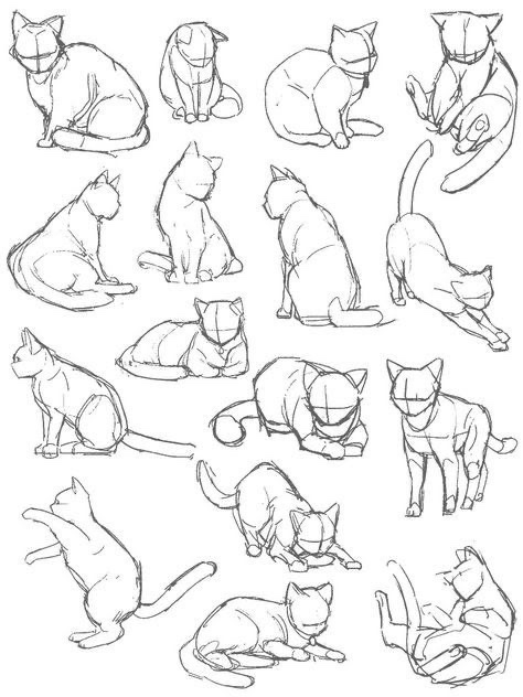 DrawDesignStar's tweet photo. Cat poses 🐈
In your drawings, do any characters have cats? https://t.co/El8wOO09nw
