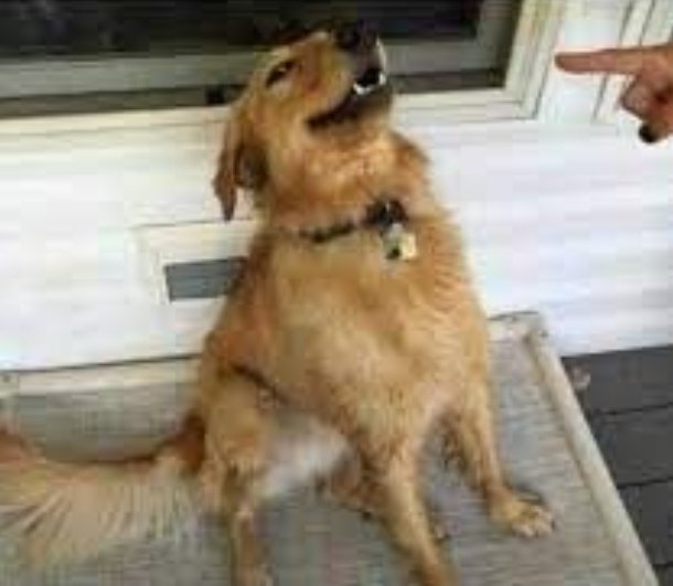 ✵𝑮𝒆𝒐𝒓𝒈𝒐𝒏𝒊𝒕𝒂𓆃 tweet media