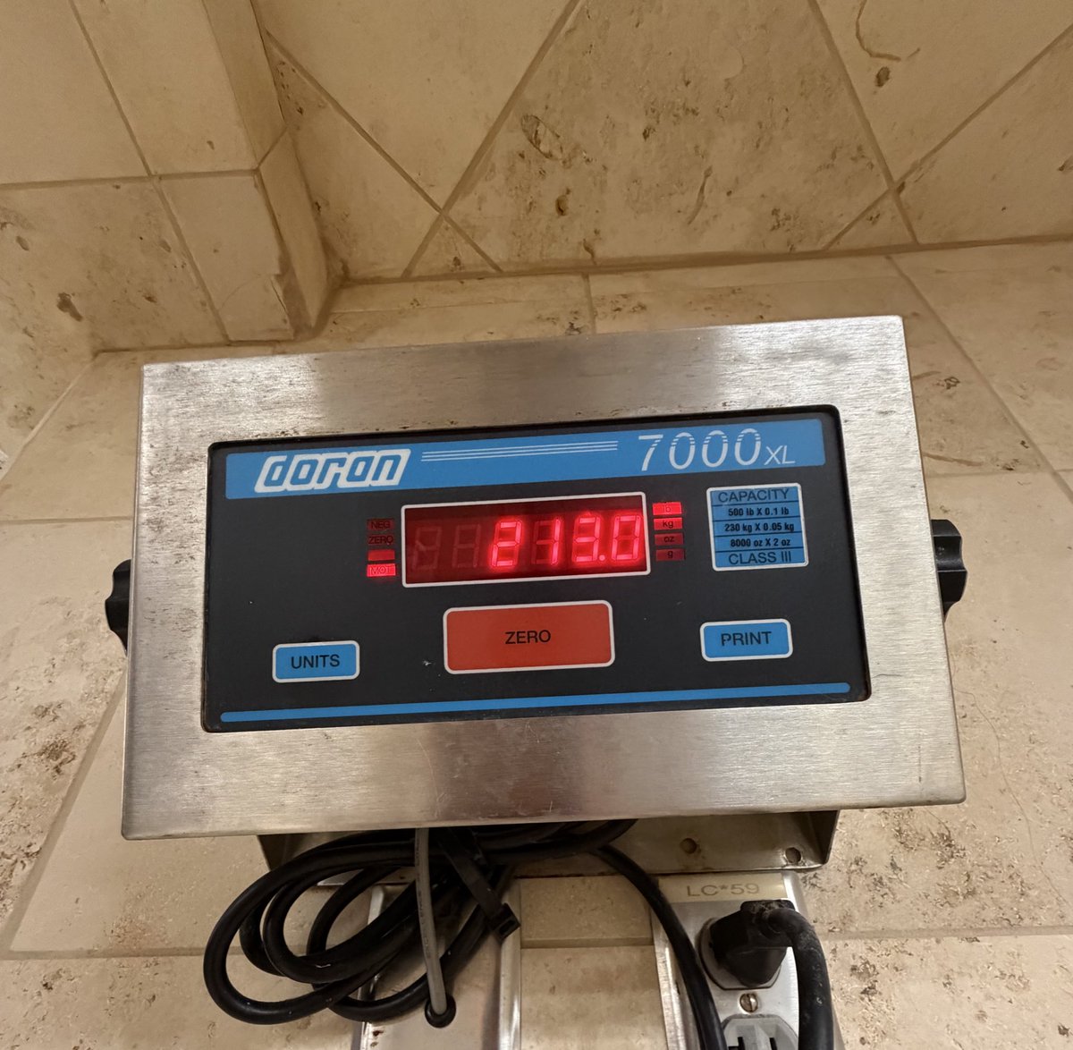 Trent Attyah tweet media