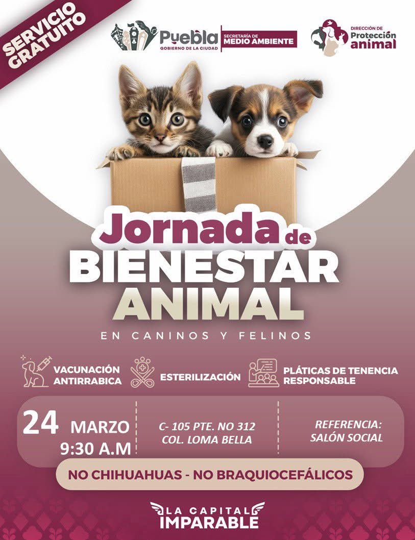 Puebla Gobierno de la Ciudad tweet media