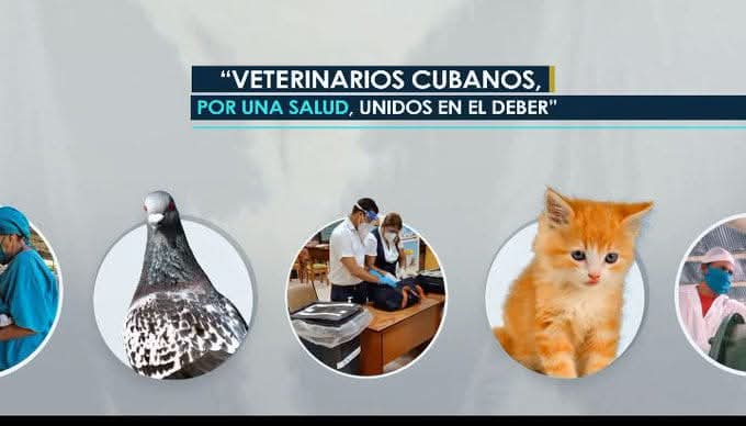 Dalianny Rodriguez doval tweet media