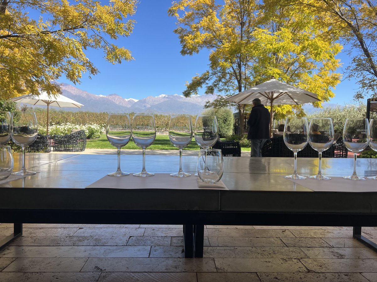 Hugo Laricchia 🍷 tweet media