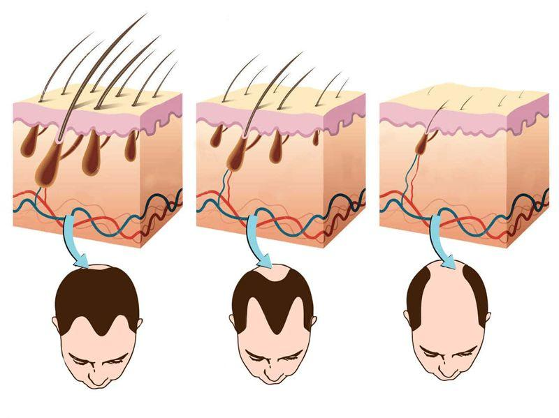 Ábris Babicz | The Demi Cycle Protocol 🧬 tweet media