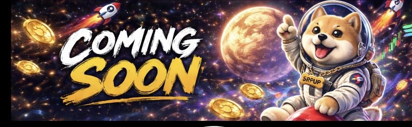 RocketPup tweet media