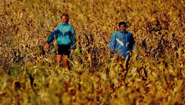 paulo junior tweet media