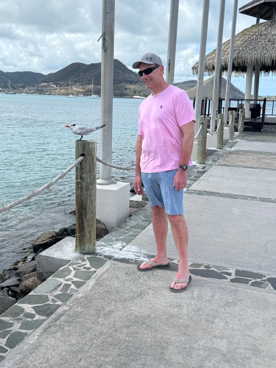 Arlene Hudak tweet media