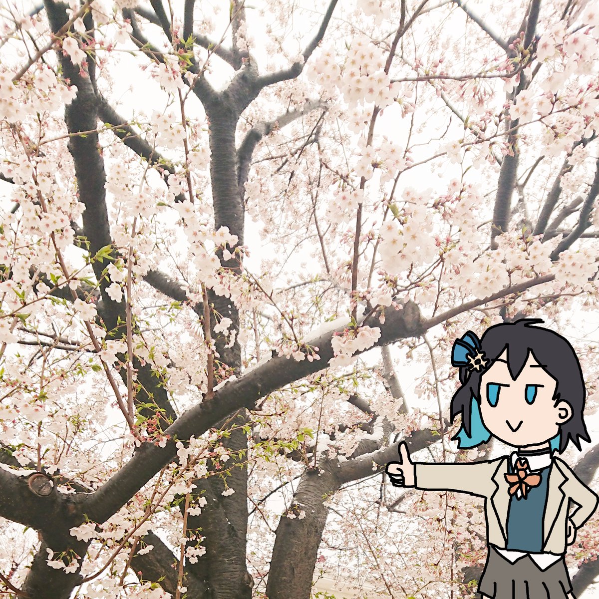 ２２０＠ボカロP tweet media