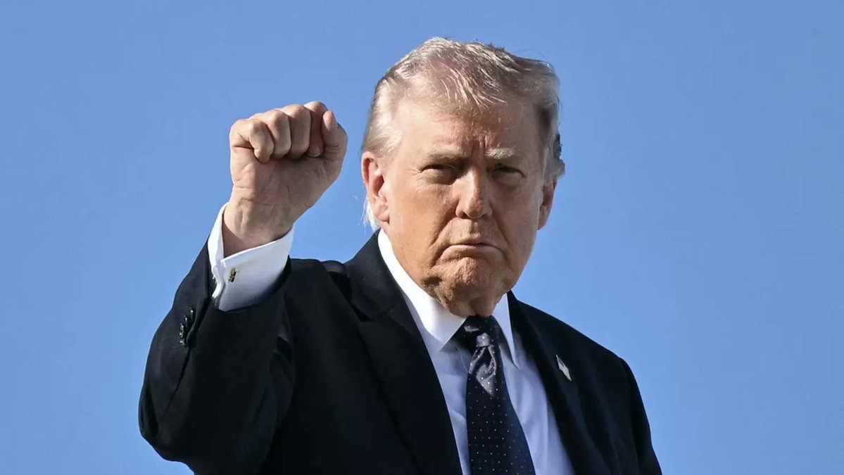 Learn Amanda tweet media