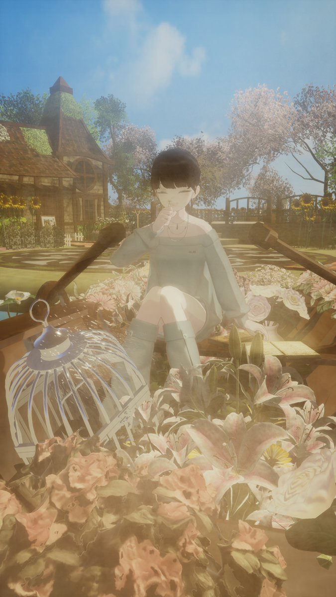 いぬい。 tweet media