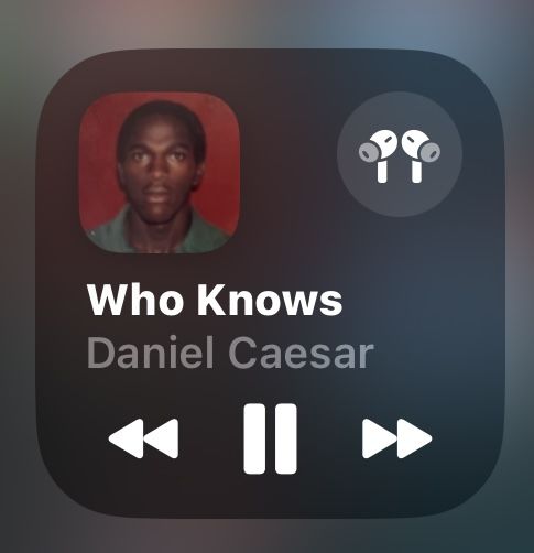 ruze🌊 tweet media