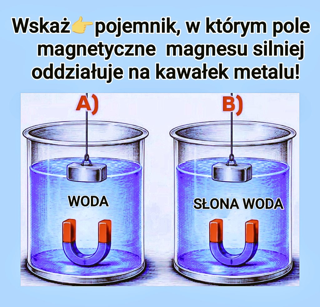 LechuTur tweet media