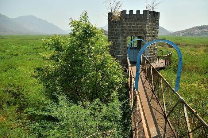 The Salem New tweet media