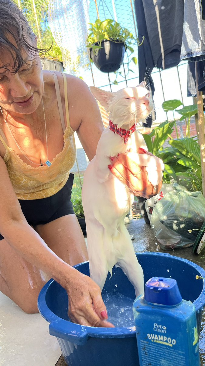 Denise Santos🌻 tweet media