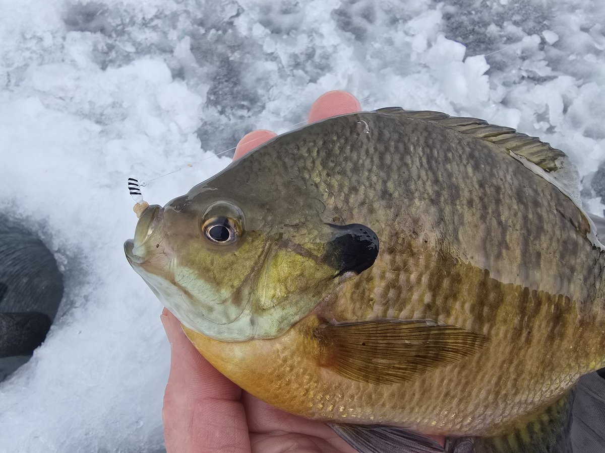 Pete Maina tweet media