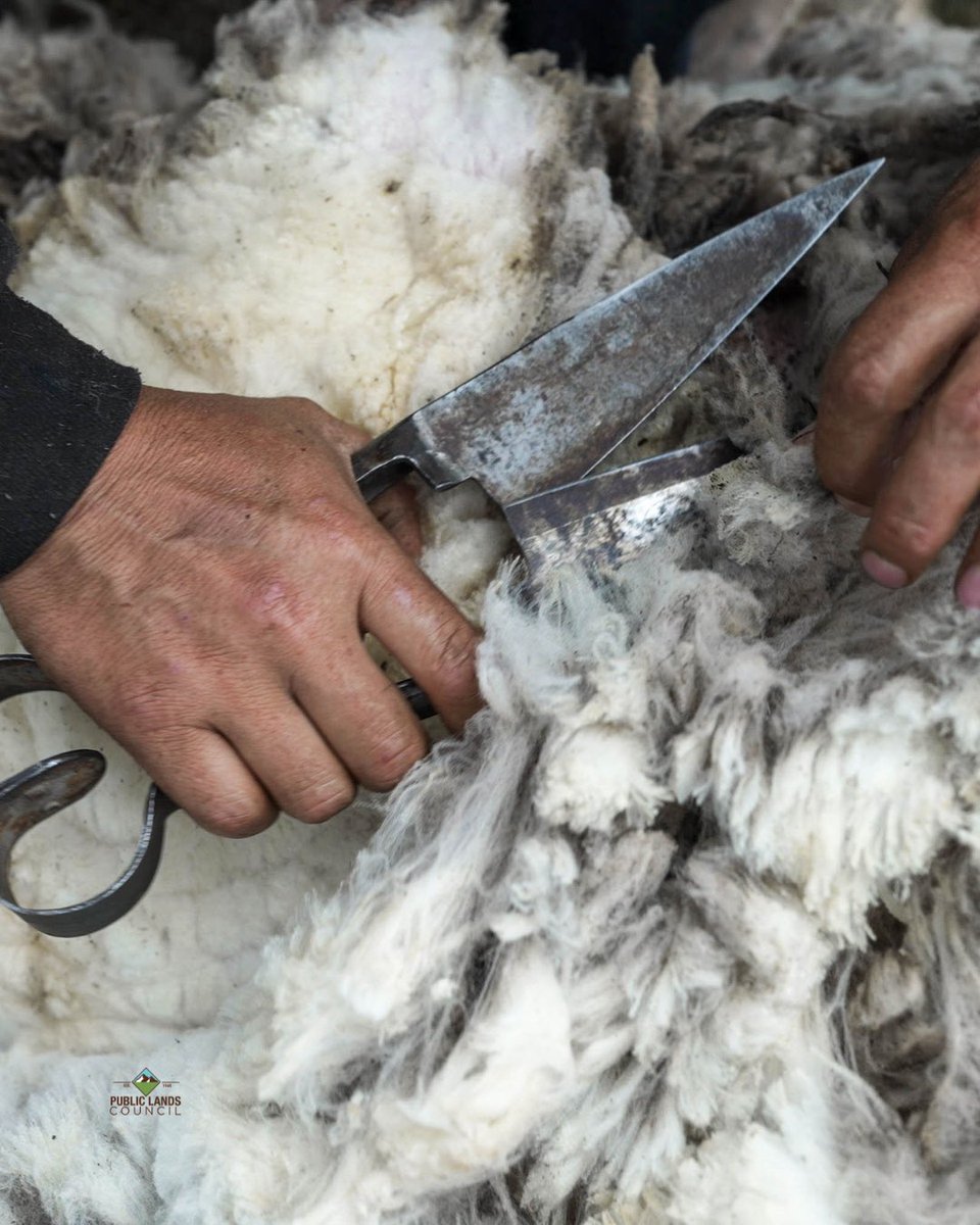 Public Lands Council tweet media