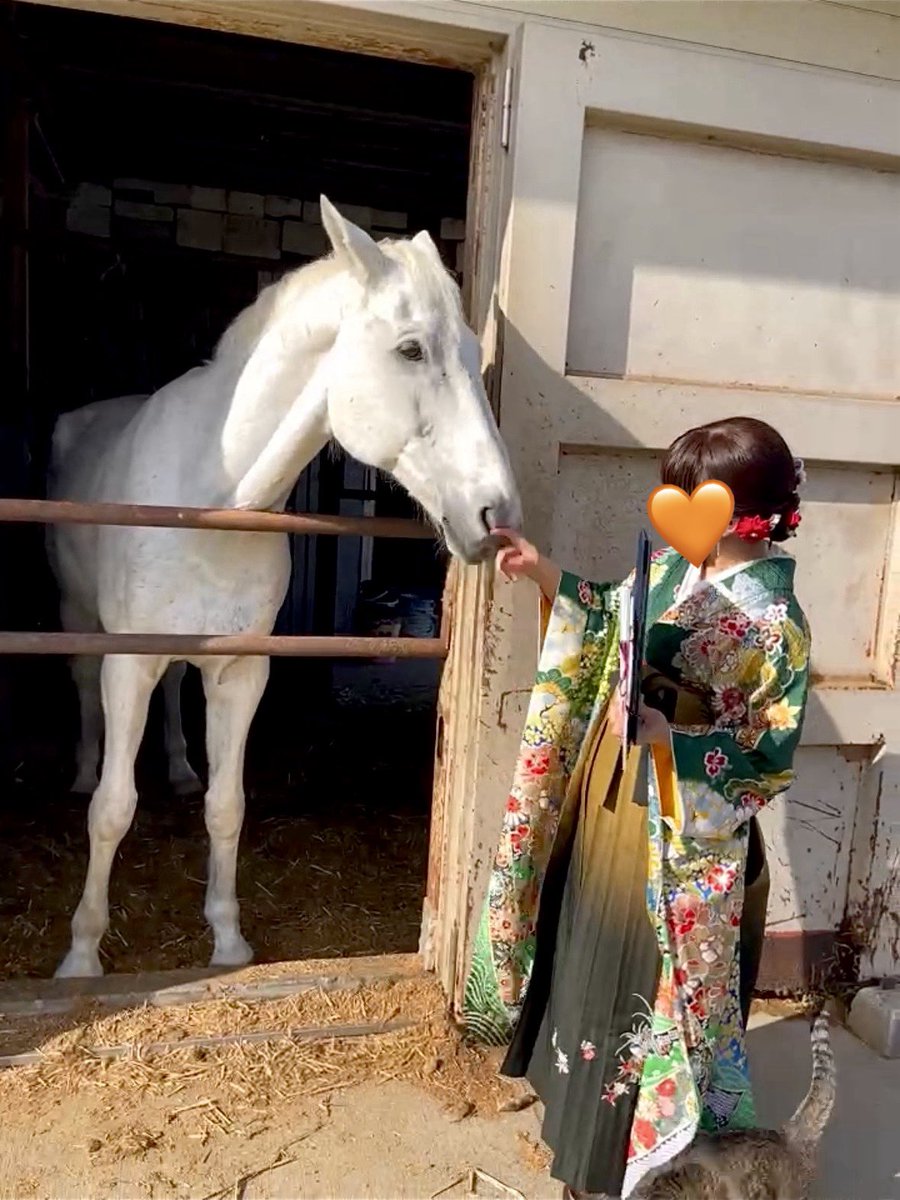 ラック@宮崎大学 tweet media