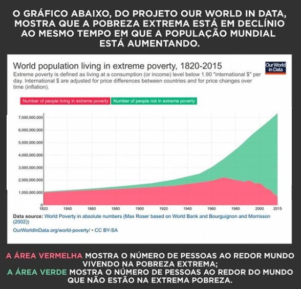 Fernando tweet media
