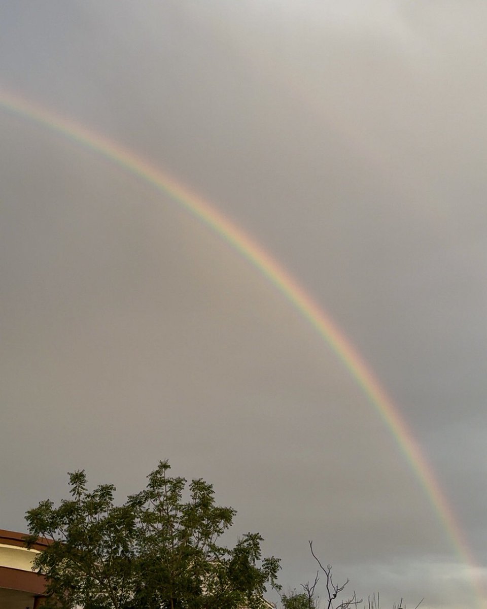 أمان ❄︎ tweet media