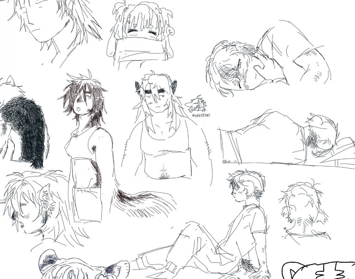 network🚠 tweet media