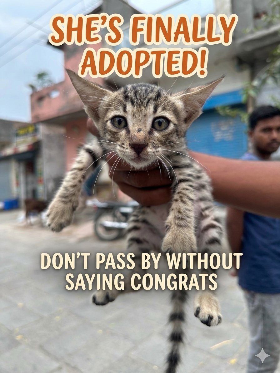 The pets only 🐾 tweet media