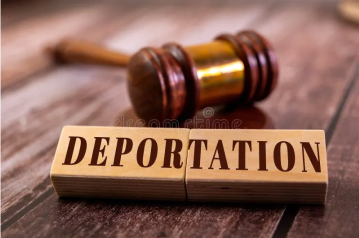 Margaret Hamby tweet media